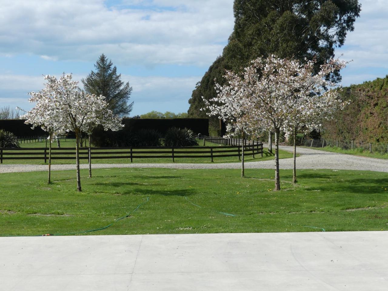 Bramley'S Stables And Accommodation 랑기오라 외부 사진